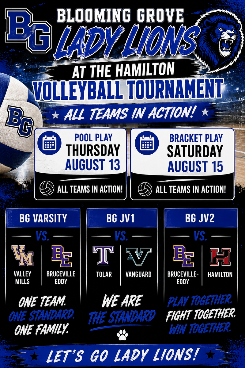 Hamilton Volleyball Tournament Featured Photo