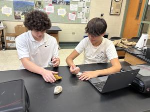 Eighth grade geologists