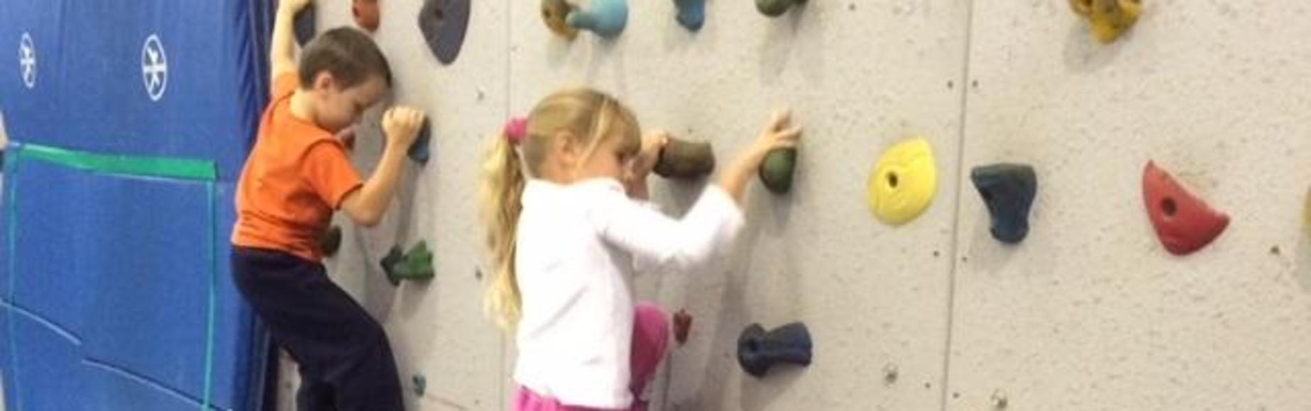 Climbing Wall Picture