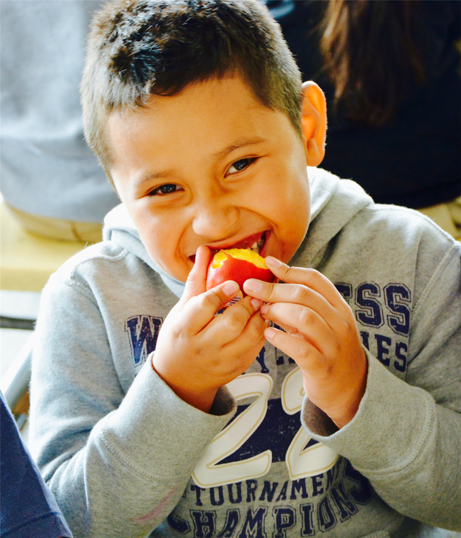 Nutritional Information and Special Diets