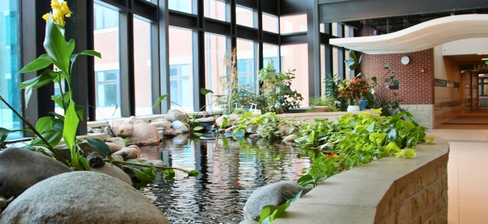 Indoor water feature with plants and rocks beside a pathway.