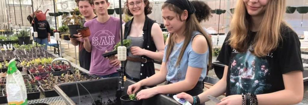 students working in the greenhouse
