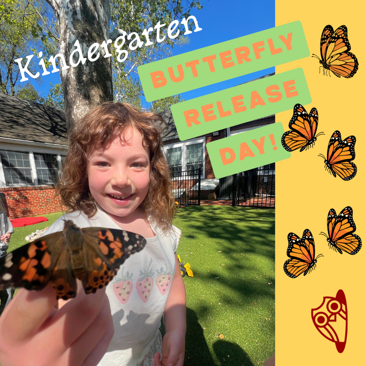 Kindgertarten Had a Butterfly Release Day!