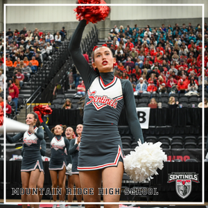 SENTINEL SPIRIT SHINES AT THE STATE CHAMPIONSHIPS