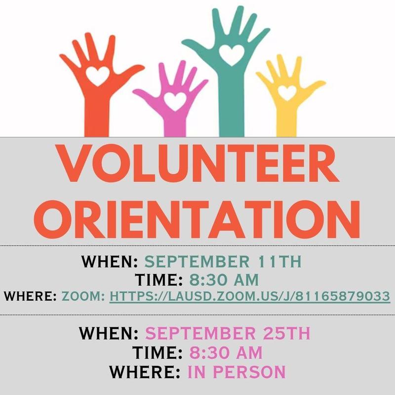 Volunteer