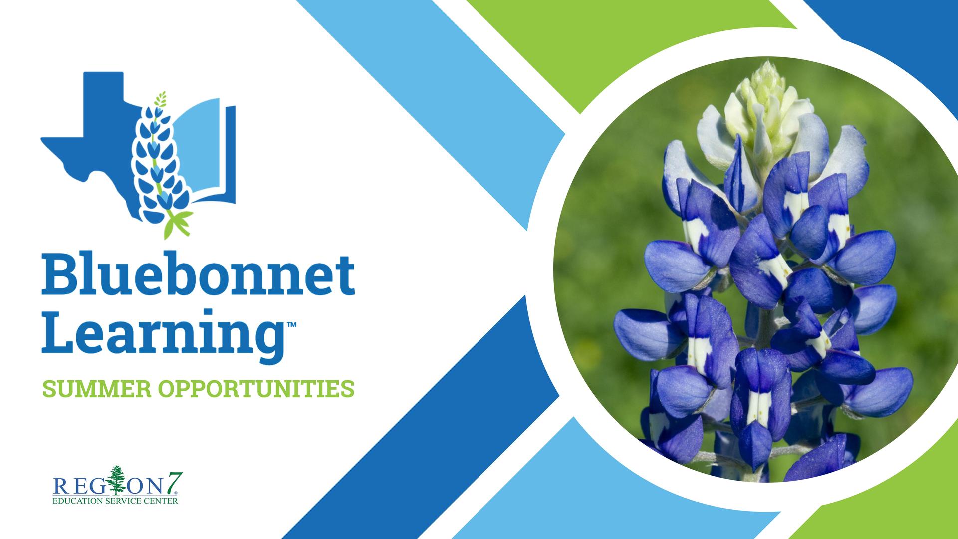 Bluebonnet Learning Summer Opportunities workshop graphic