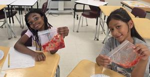 Strawberry Extraction Lab @ Camp Innovate