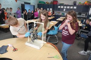 Elementary students examine a pig lung that demonstrates the effects of tobacco.