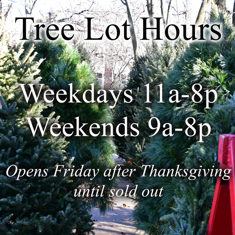 Christmas Trees are available beginning Friday, 11/28 while supplies last, read more > Featured Photo