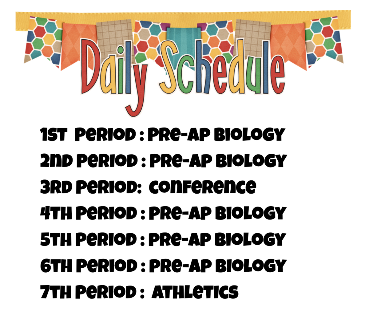 daily schedule