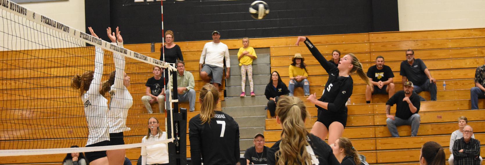 Stockdale High School