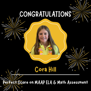 perfect ela/math