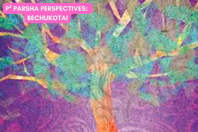 P² Parsha Perspectives: Parshat Bechukotai