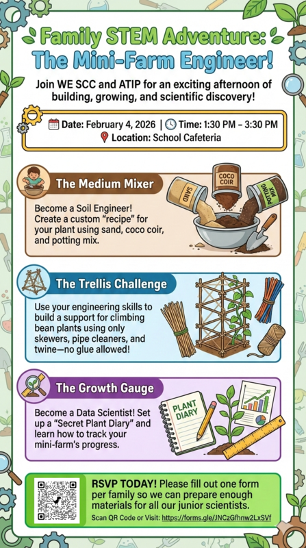 STEM Family Activity