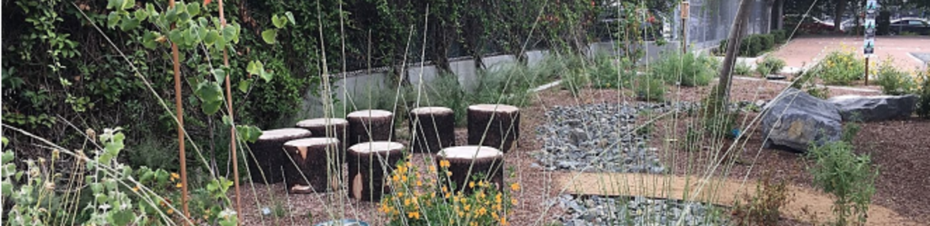 Green Schoolyard