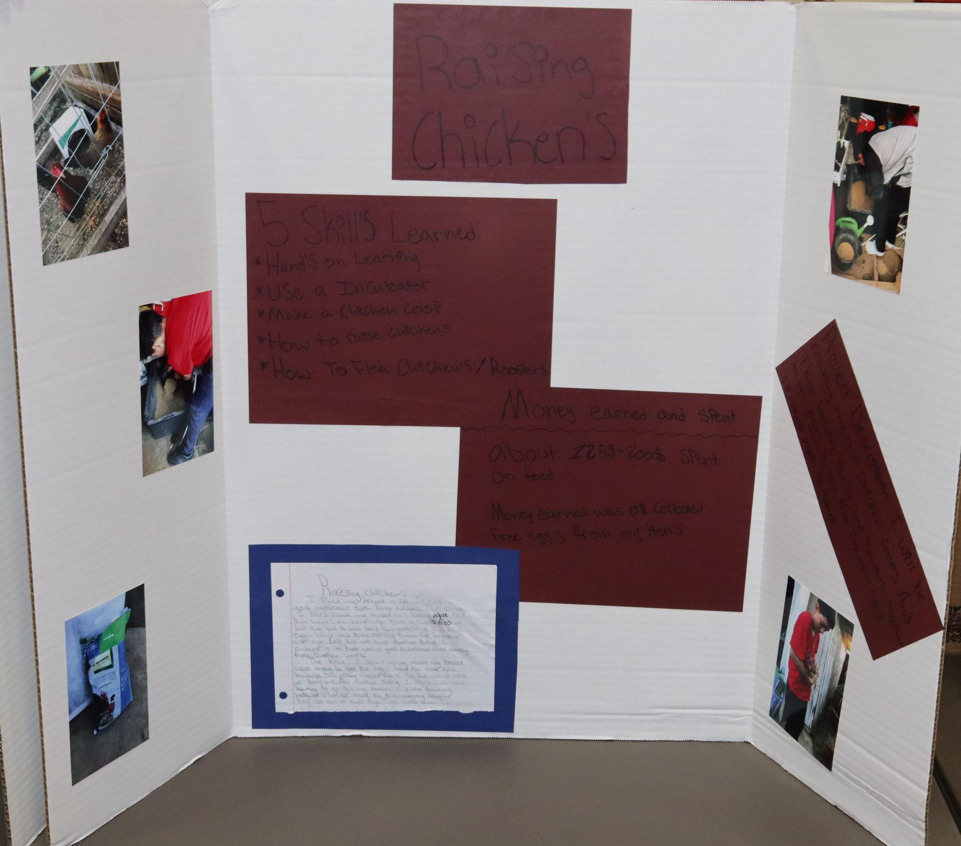 A Supervised Agricultural Experience trifold display