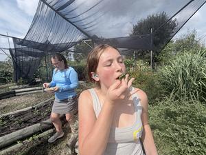 a student eating a green vegetable with a staff in the back looking at her foraged tray