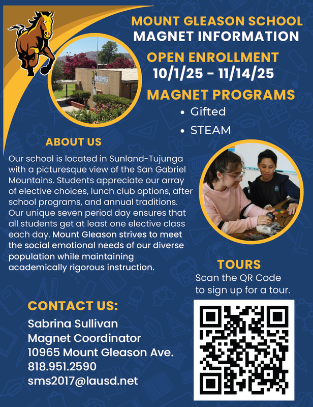 Magnet Flyer