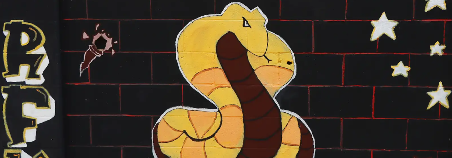 Colorful graffiti of a yellow and brown snake on a black wall.