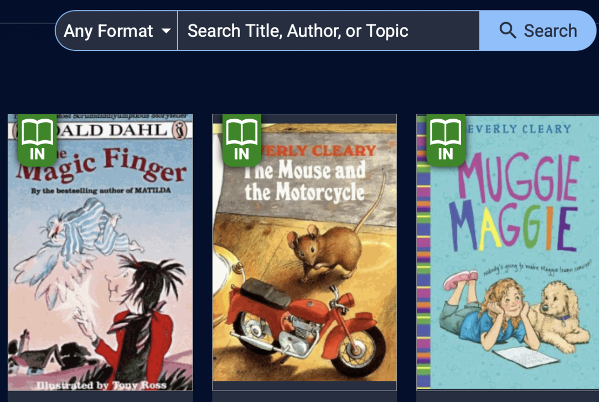 Picture of library books