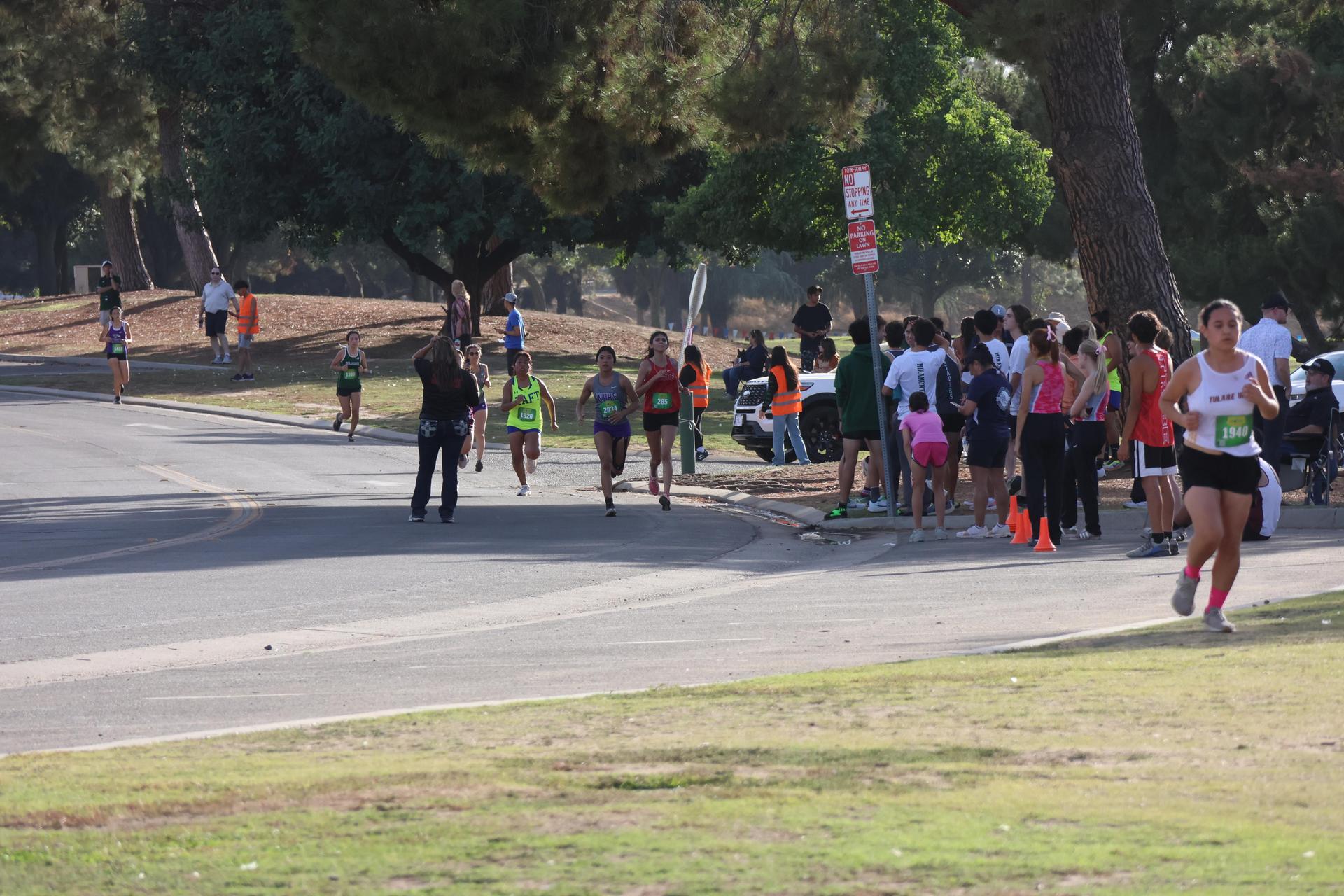cross country runners in action