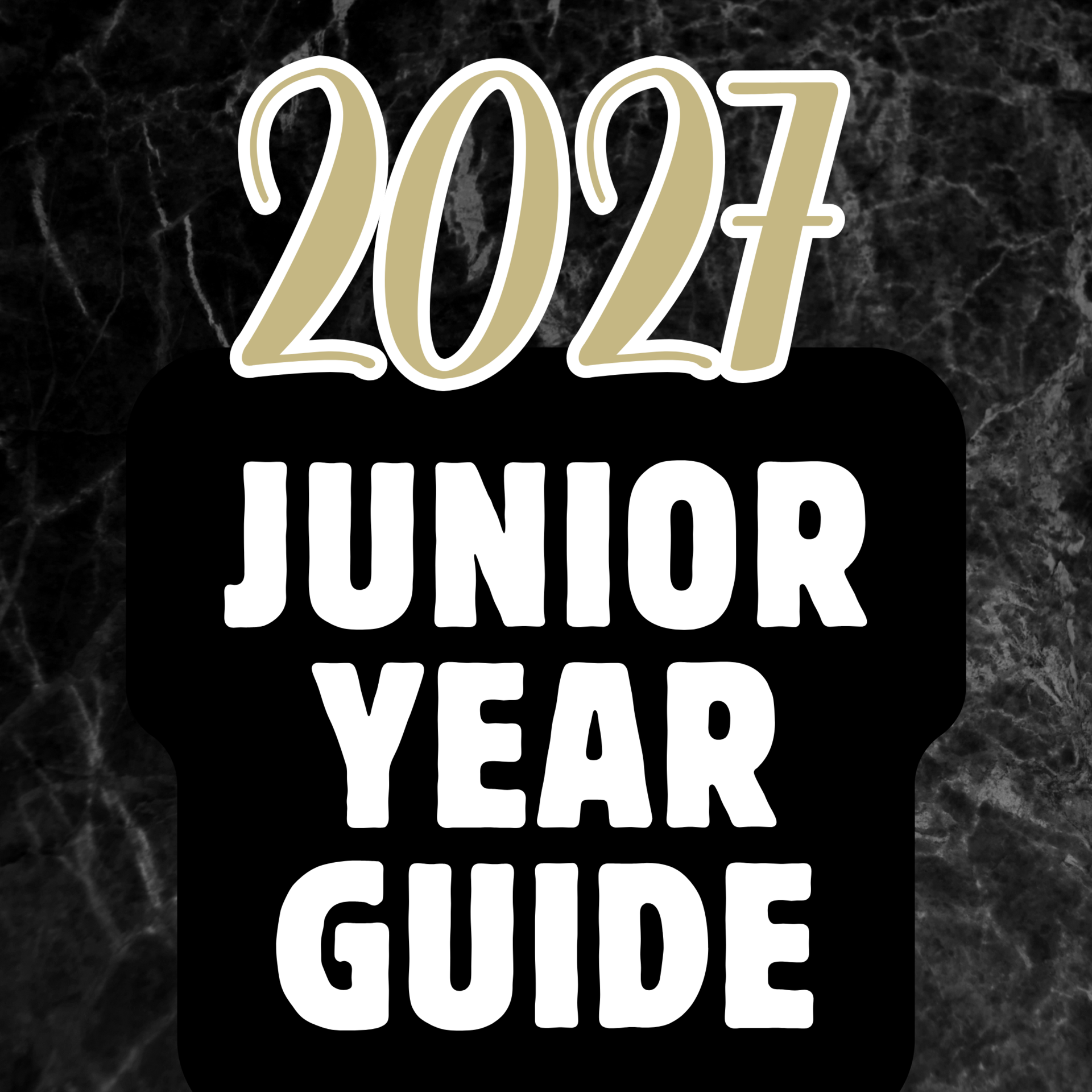 Junior Year Guide