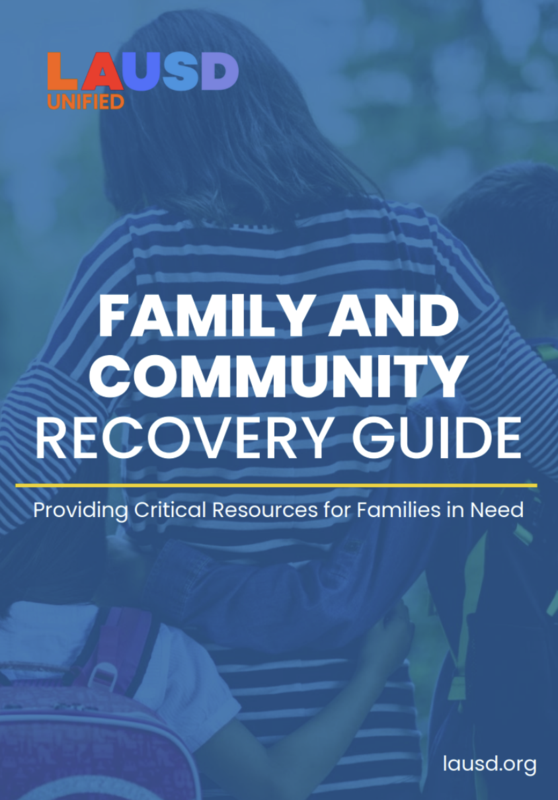 Recovery Guide