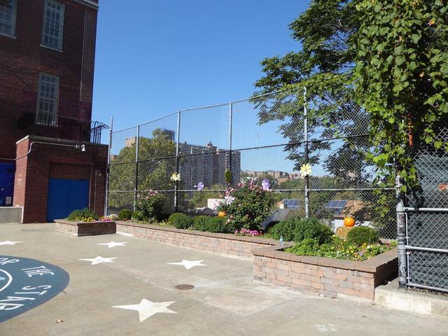 A fenced sports area with flower beds and decorative elements in a sunny setting.