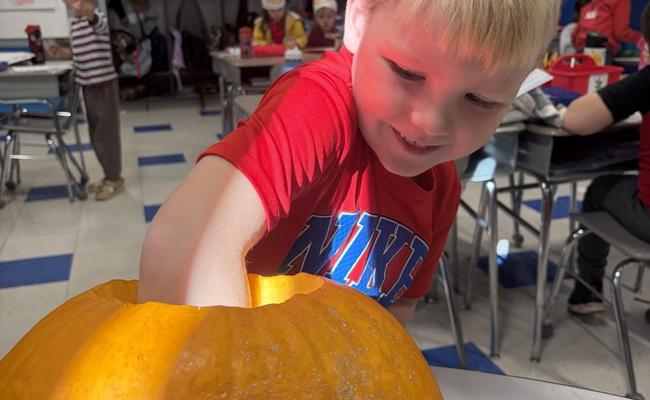pumpkin