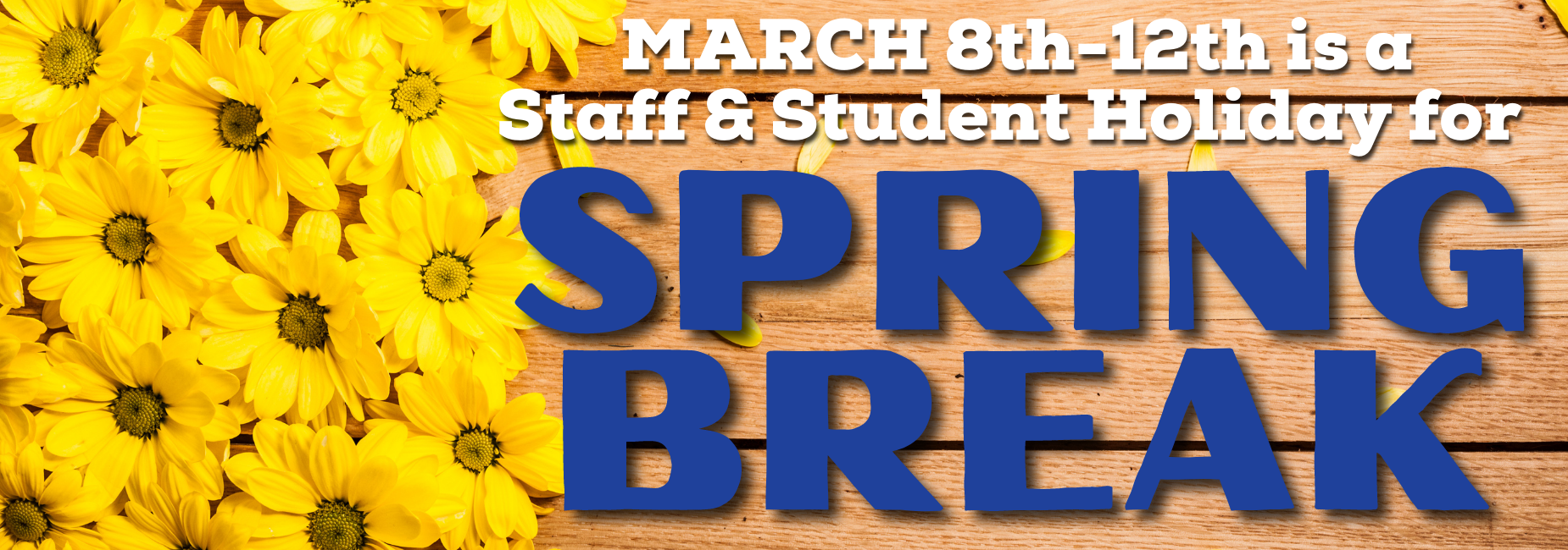 spring break