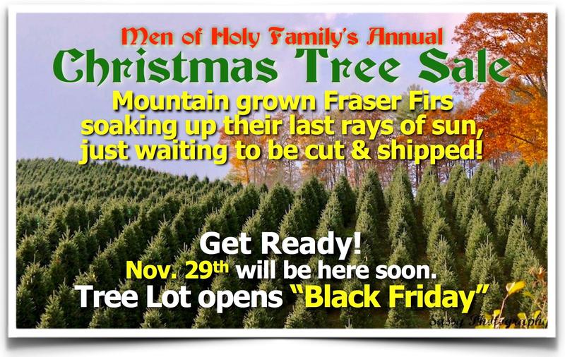 Christmas Trees Featured Photo