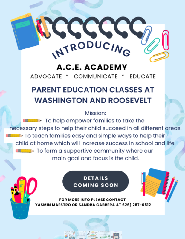 A.C.E. Academy