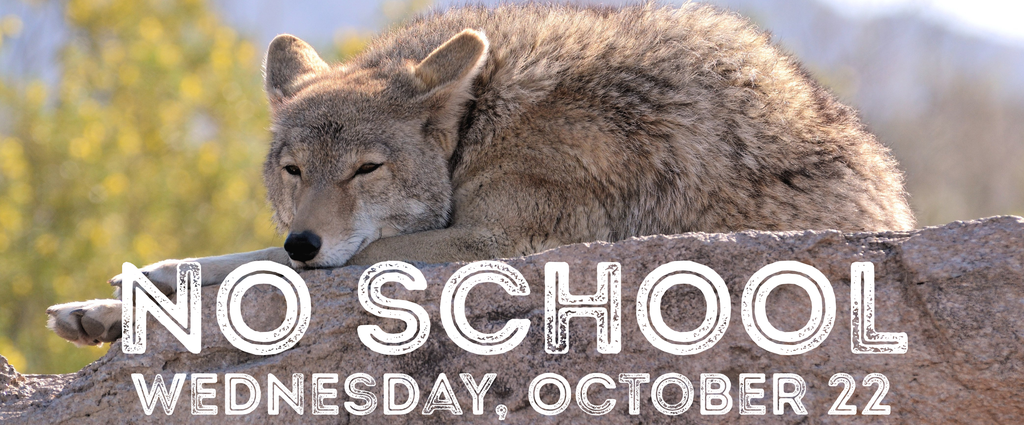 No School. Wednesday, October 22. Coyote sleeping.
