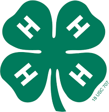 4H clover