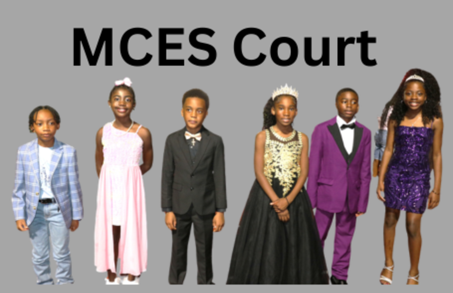 MCES Court