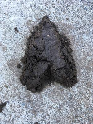 Mud Art
