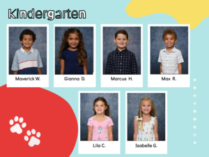 wildcat extraordinaires for self control k
