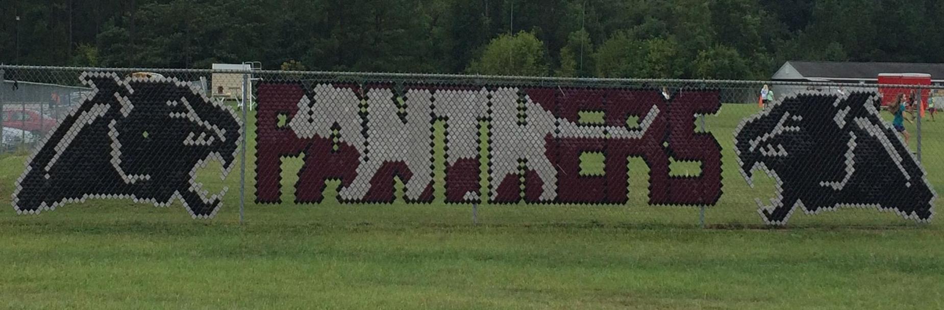 Panthers logo