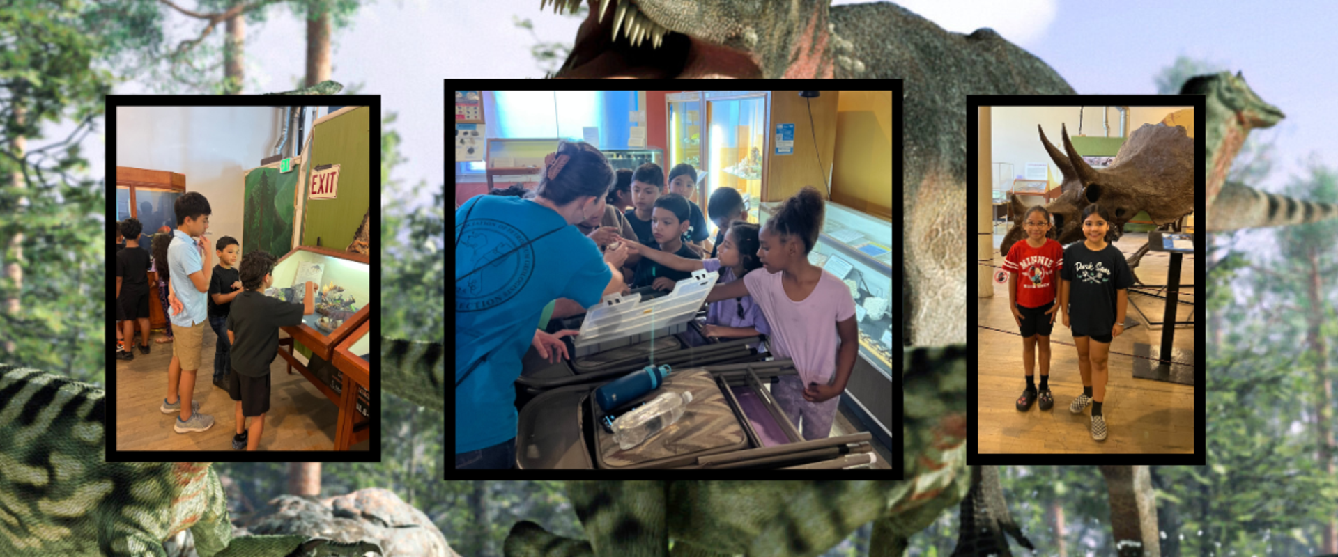 Natural History Museum Field Trip
