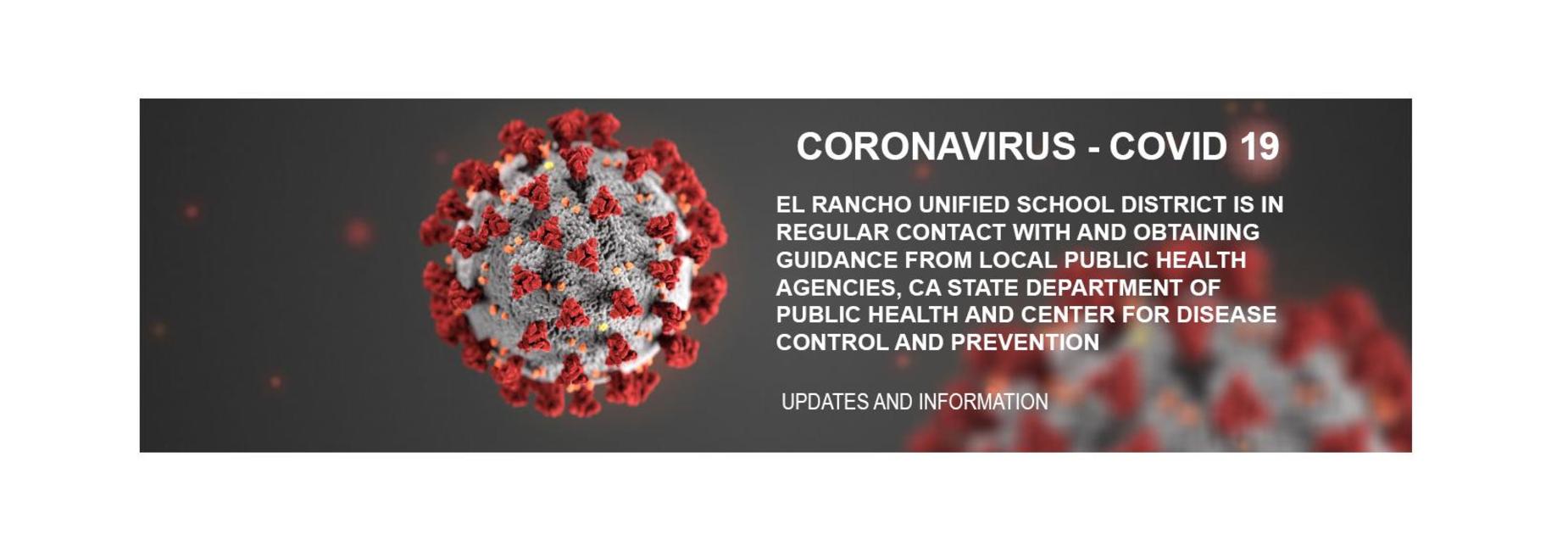 Coronavirus cell