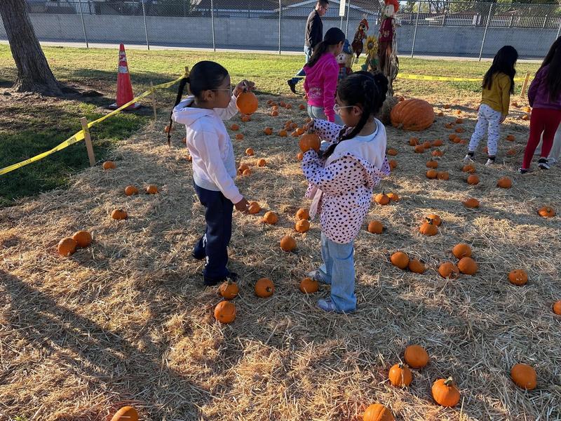 Lopez Pumpkin Patch photos for news story