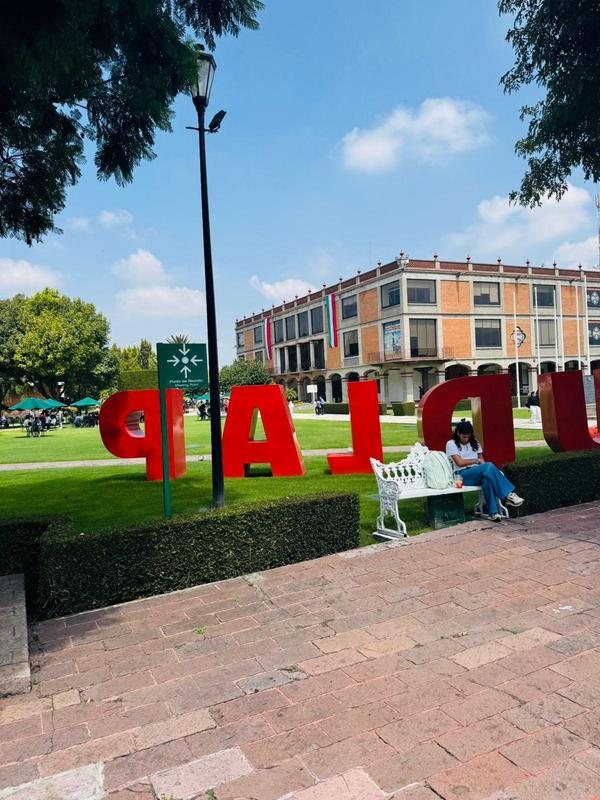 WhatsApp Image 2025-09-18 at 2.47.01 PM.jpeg