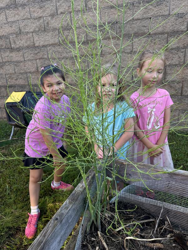 Farmtoschool