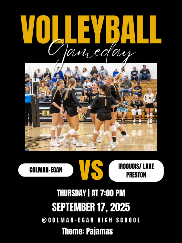 Hawks Volleyball