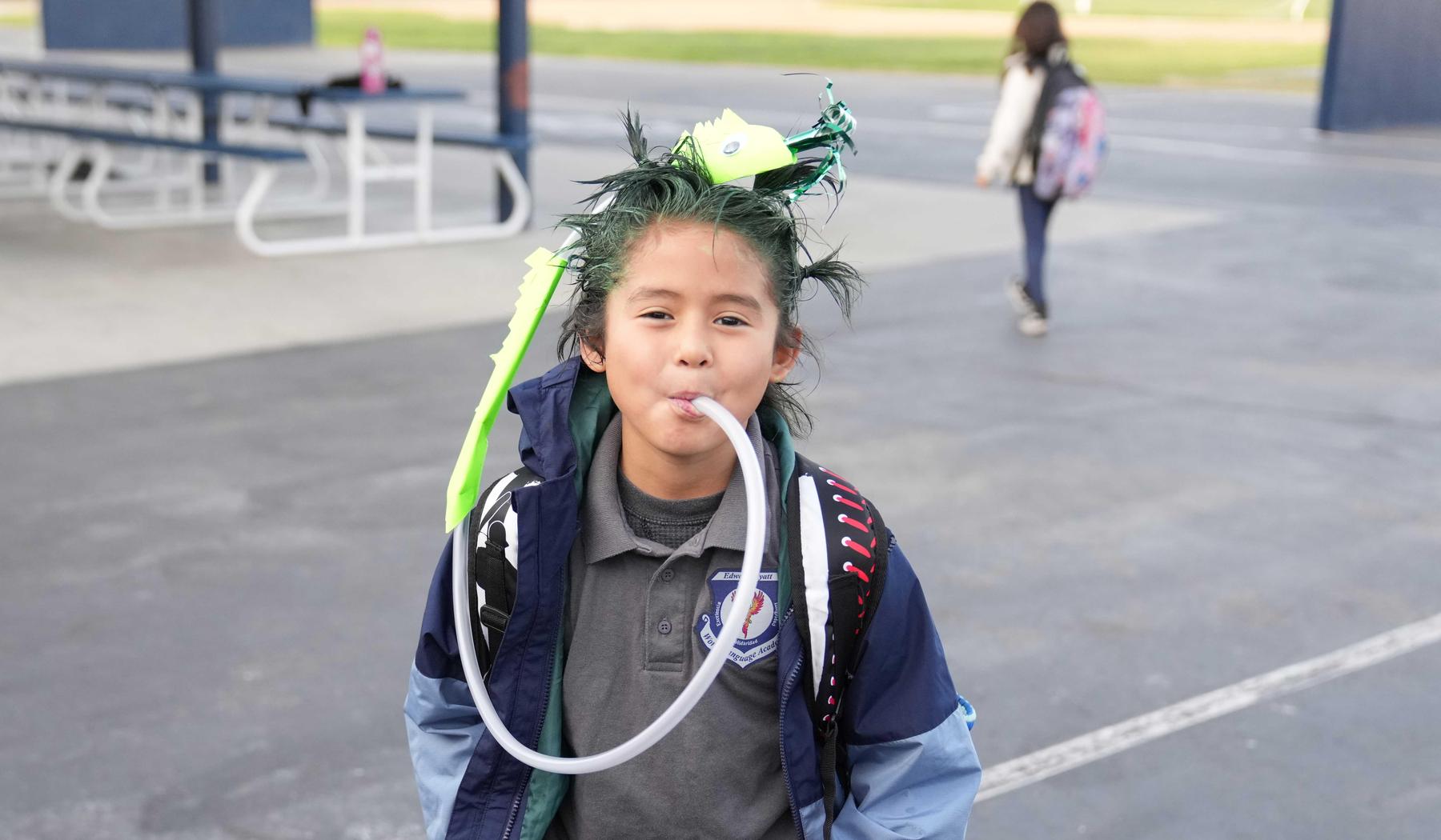 Boy on crazy hair day