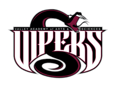 Viper School Logo