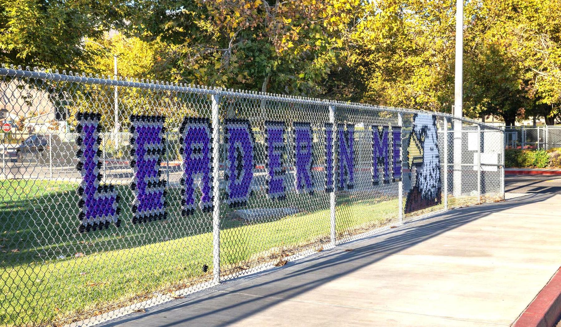 Leader in Me Lighthouse School