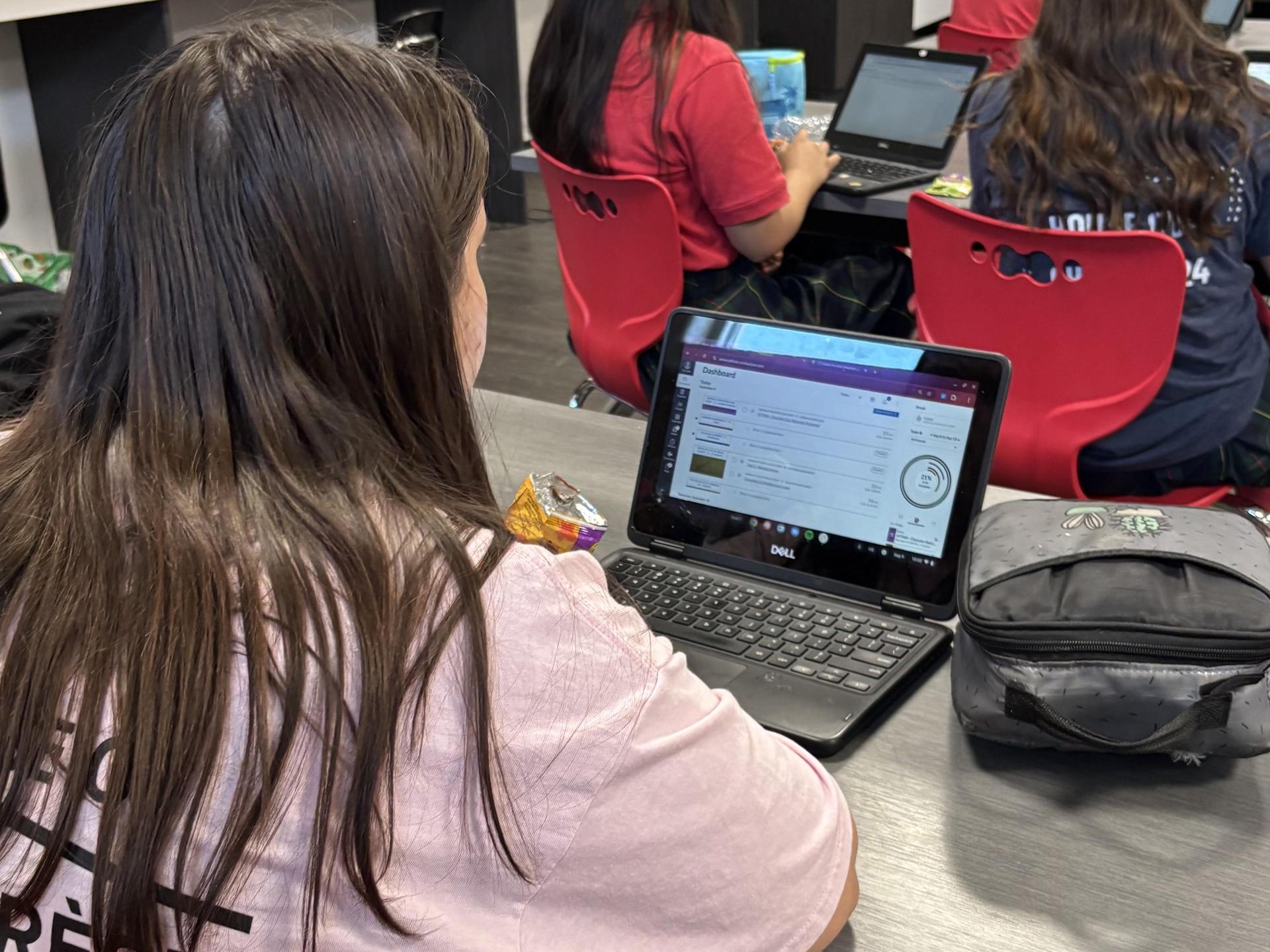 Student working at laptop