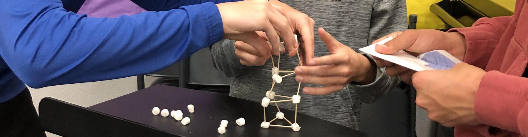 students building a model