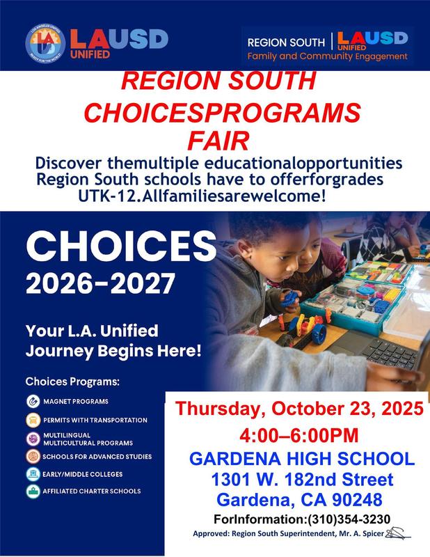 Region South Choices Programs Fair